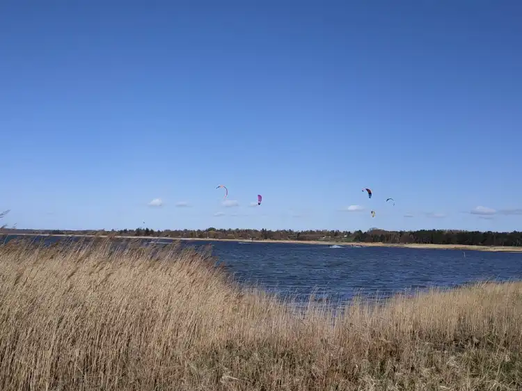 Brøndbyn kunta