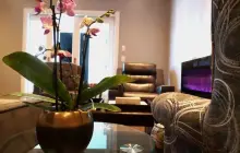 TruBliss Wellness & Beauty Spa