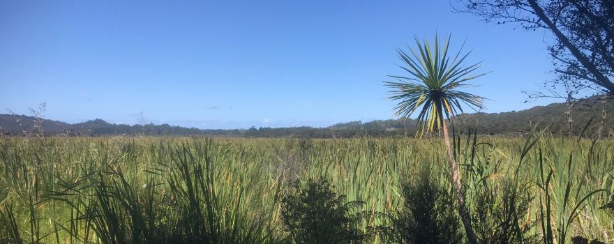 Kaitoke Hot Springs