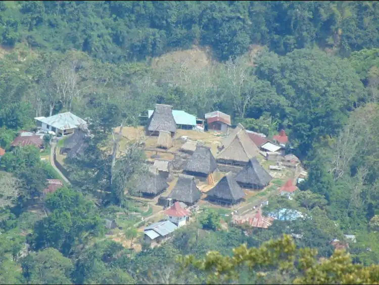 Hotels in Mukureku