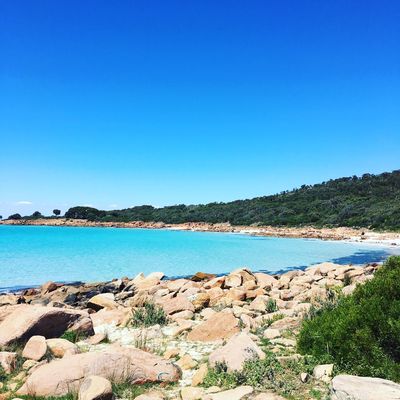 Point Picquet