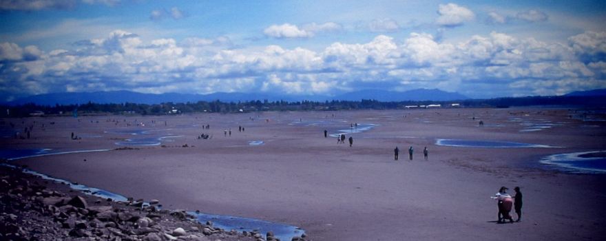 East Beach