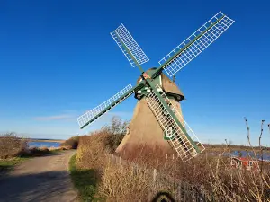 NSG Geltinger Birk