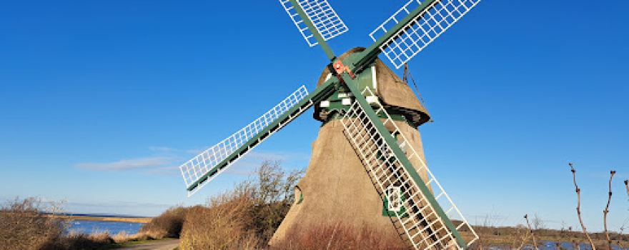 NSG Geltinger Birk