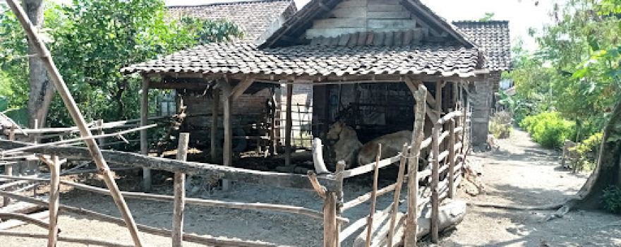 Balai Desa , Ds Ketandan