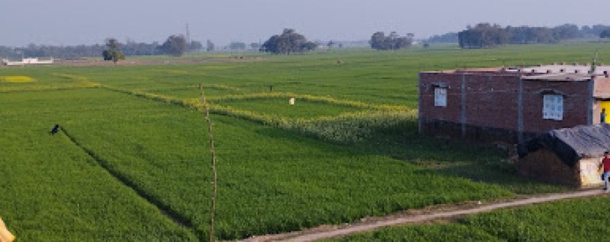 Lord Shiv temple