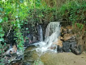 Parque de Merendas do Pisão