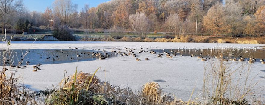 Lac de Louvain-la-Neuve