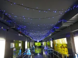 Пензенский океанариум