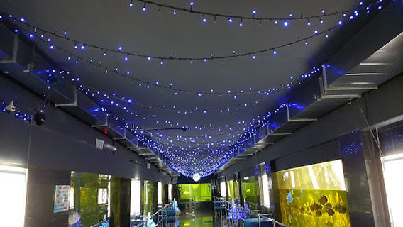 Penzenskiy Okeanarium