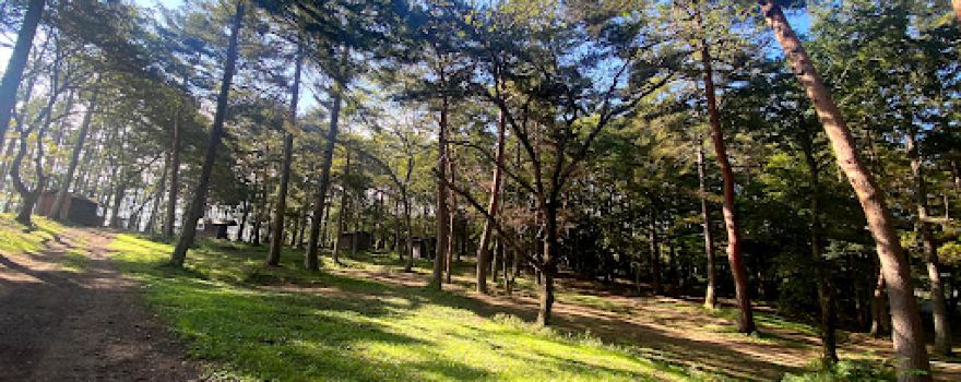 Matsubarakokogen Auto Camping Ground