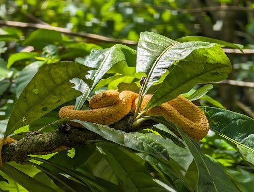 Sloth's Ecological Farm