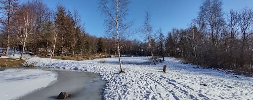 Pansergraven Ved Lintrup