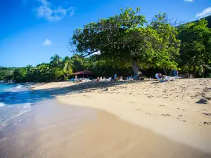 Comier Plage