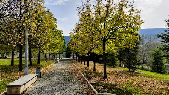 Batoi Park