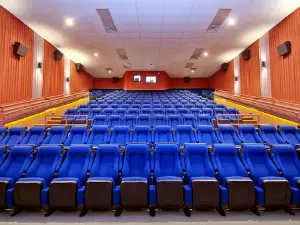Marcus Hastings Cinema