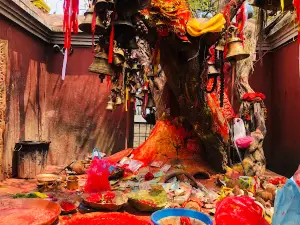 Alamdevi Syangja आलमदेवी मंदीर स्याङ्जा