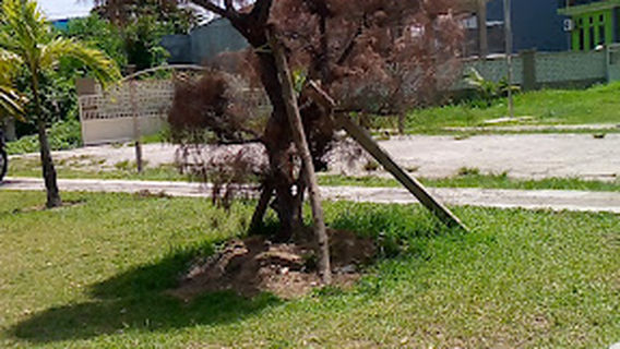 Masjid Al-Muhajirin Perumnas, Poka