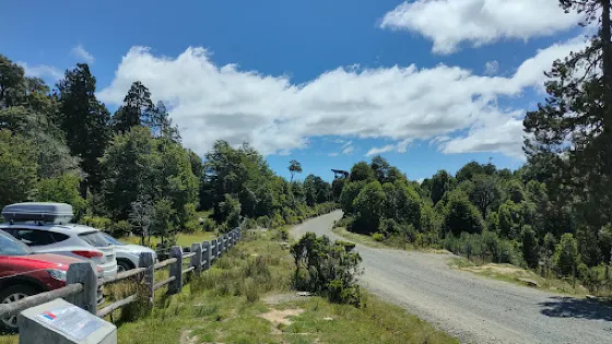 阿萊爾塞科斯特羅國家公園