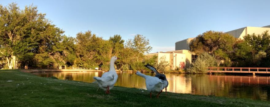 Macey Center