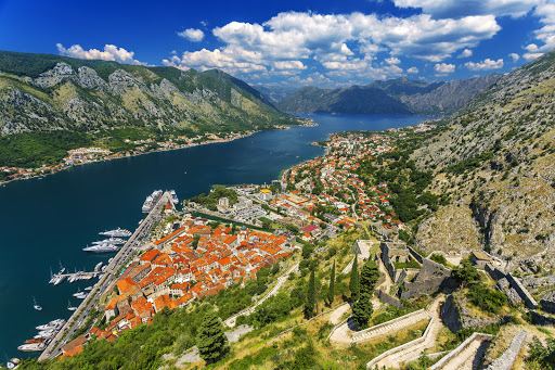 Kotor Serpentine