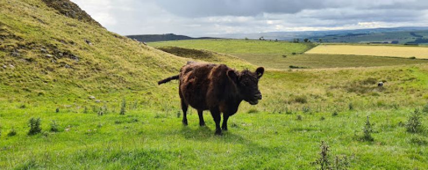 Milecastle 39 - Hadrian's Wall