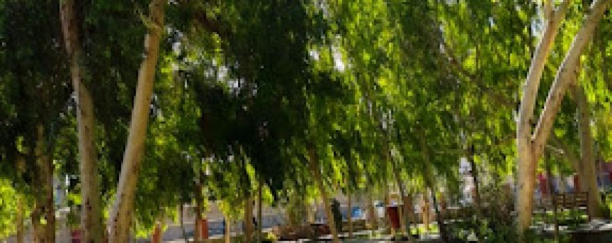 پارک ناحیه 3