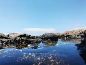Playa del Bajo de la Burra