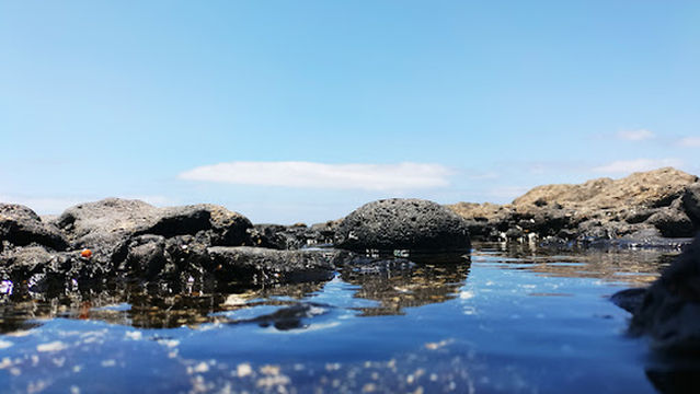 Playa del Bajo de la Burra