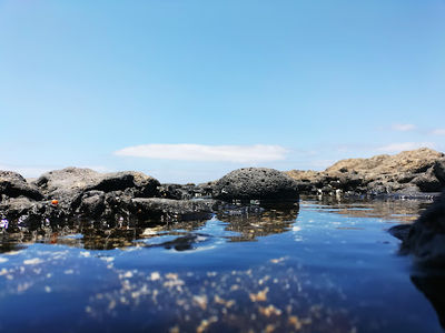 Playa del Bajo de la Burra