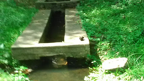 Adair Township