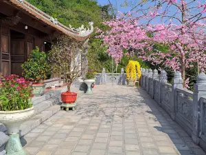 Dong Co Temple