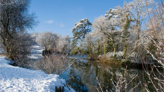 Clwb Rygbi Castell Newydd Emlyn - Newcastle Emlyn RFC