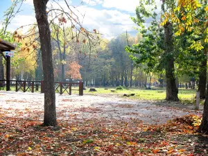 Neftekhimikov park