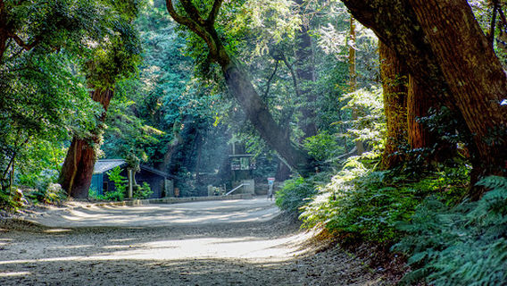 Kajima Shrine Okunomiya