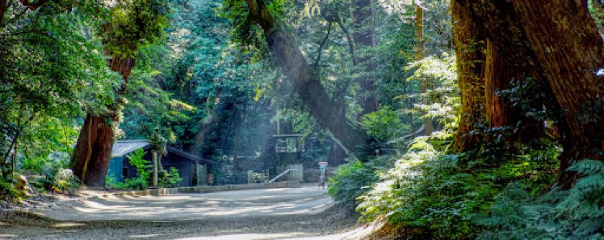 Kashima Shrine Okunomiya