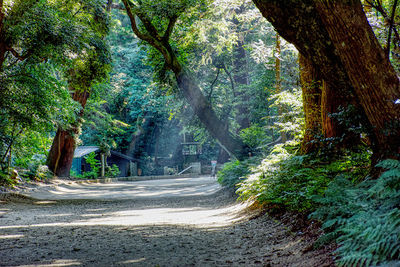 Kajima Shrine Okunomiya