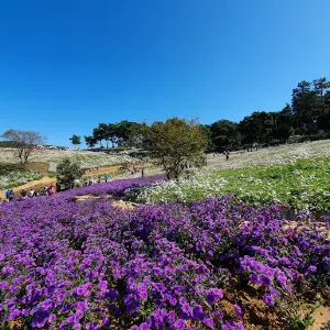 Okjeongho Gujeolcho Theme Park
