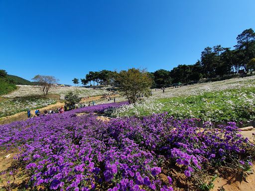 Okjeongho Gujeolcho Theme Park