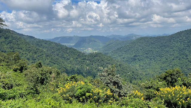 จุดชมวิว กม. 30 เขาใหญ่