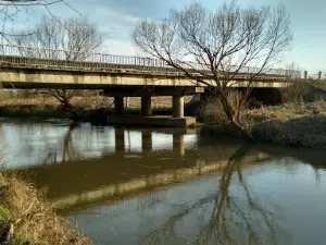 Vorona River