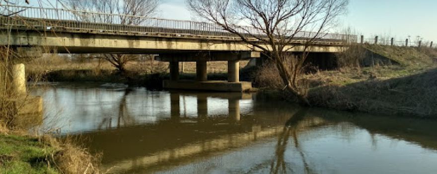 Vorona River