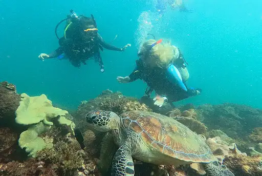 Subsurface Scuba
