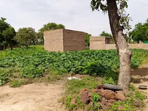 Mosquée de Djibasso