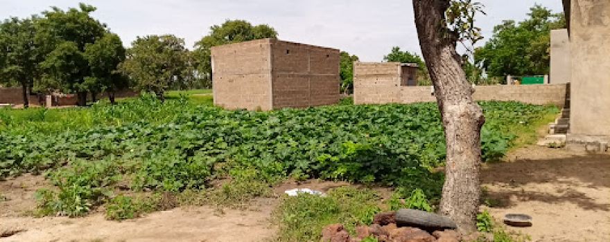 Mosquée de Djibasso