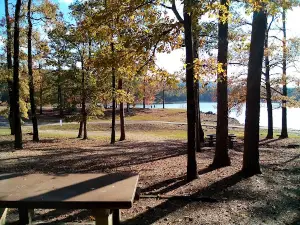 Recreation Area With Campground