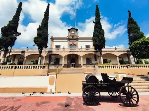 Centro Tepeji del Río de Ocampo