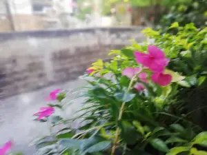 Parque Las Margaritas