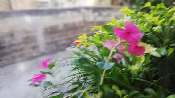 Parque Las Margaritas