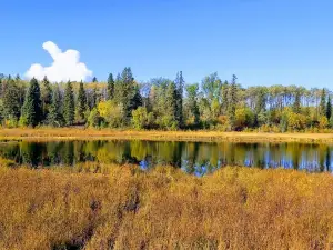 Rod Reid Trail